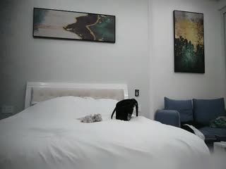 凡哥足疗探花深夜约骚女自己动激情猛操。