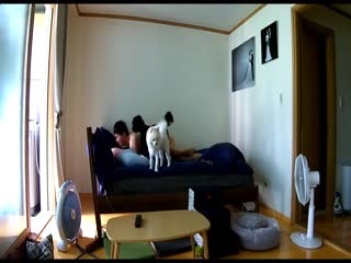 大白天新婚不久的年轻夫妻激情啪啪娇妻身材太性感了被搞的销魂淫叫一对狗狗观战!。