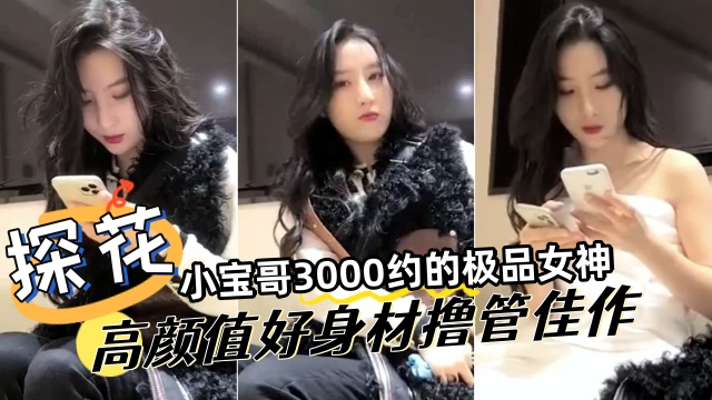 探花精选小宝哥3000网约极品女神高颜值好身材撸管佳作